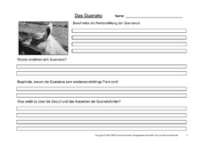 Guanako-Fragen-2.pdf
